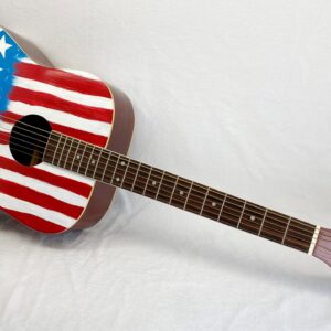 ACUSTICA BANDIERA USA 1