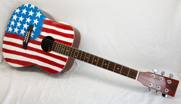 ACUSTICA BANDIERA USA 1