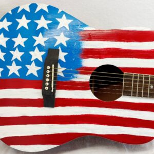 ACUSTICA BANDIERA USA 2