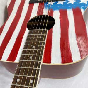 ACUSTICA BANDIERA USA 3
