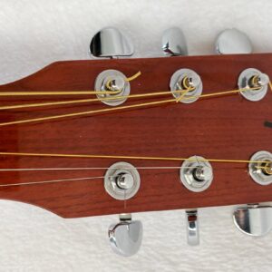 ACUSTICA BANDIERA USA 4