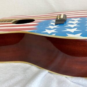 ACUSTICA BANDIERA USA 5