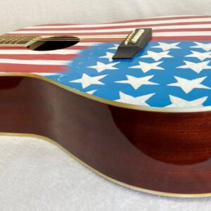 ACUSTICA BANDIERA USA 6